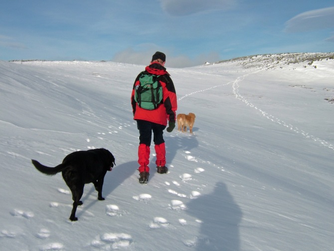 Team Fatdog nearing the summit ridge - Jan 2007